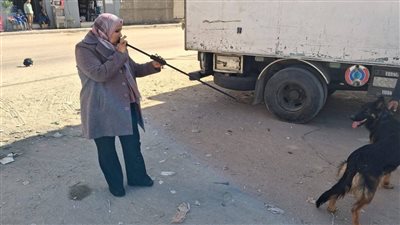 بيطري قنا: تحصين 27 كلبًا في حملة موسعة للحد من مخاطر الأمراض