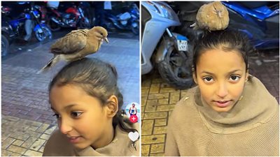 مصور فيديو سجدة صغيرة الطائر بالإسكندرية: ساعدته ومكنش عايز يسيبها 