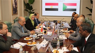 مصر والسودان يتابعان تنفيذ المرحلة الثانية من الربط الكهربائي واتخاذ الإجراءات اللازمة لتركيب المهمات