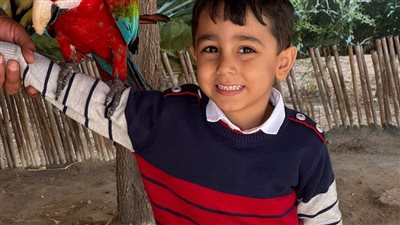 حرق قلبي عليه وسافر.. سيدة تستغيث من طليقها العراقي بسبب صغيرها: بيساومني وعايز كل ما أملك 