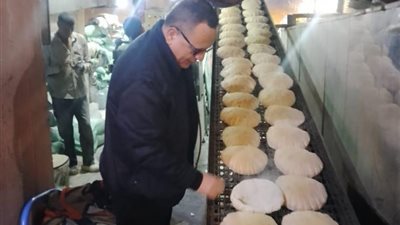 تموين الدقهلية تضبط 4.5 طن مخللات وملح مغشوش وتحرر 124 مخالفة خلال يومين