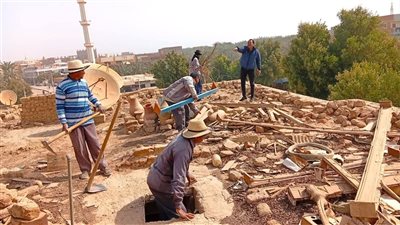 إزالة العشش والتعديات أعلى العمارات السكنية بالوادي الجديد| صور