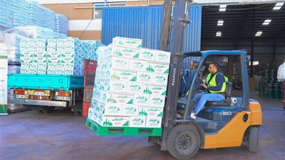 استعدادًا لشهر رمضان.. تجهيز وتعبئة 40 ألف كرتونة مواد غذائية بسوهاج