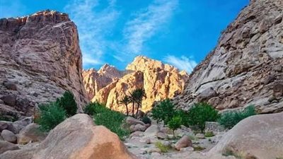 وادي الكيد بجنوب سيناء.. شاهد على مسارات القوافل وتحركات الشعوب ومعبر للتجارة بين مصر والحجاز