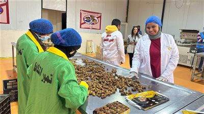 مصنع تمور التكافل    