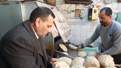 تموين الإسكندرية 