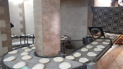 تحرير 243 محضرا في حملات تموينية بالمنوفية