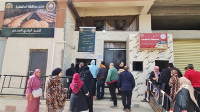 محافظ الدقهلية: تشغيل منظومة متكاملة للسلع الغذائية والخبز المدعم بالمنصورة وطلخا