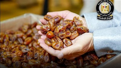 مجلس الوزراء يكشف حقيقة استيراد مصر للتمور الإسرائيلية