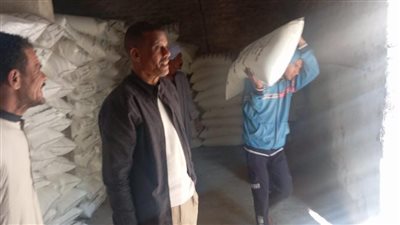 زراعة قنا: صرف 593 ألف شكارة سماد مدعم خلال الموسم الشتوي