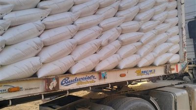 دعمًا للقطاع الزراعي.. توزيع 100 طن أسمدة على مزارعي الفشن ببني سويف 