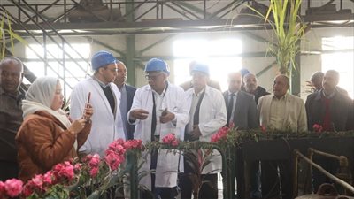 محافظ قنا يفتتح موسم القصب بمصنع سكر دشنا