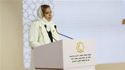 المدير التنفيذي لمنظمة تنمية المرأة: الخطاب الديني والإعلامي المستنير ركيزة أساسية لحماية وتعزيز حقوق السيدات