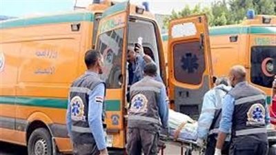 مصرع شاب وإصابة آخر في انقلاب جرار زراعي بالفرافرة بالوادي الجديد