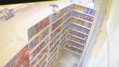 زهقت منه.. أول تعليق من صاحب بقالة يتعرض للسرقة من غراب يوميًا بالسويس: بياخد في الشهر 30 كيس