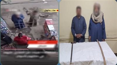 حبس المتهمين بالتعدي على ربة منزل وبناتها بأسوان 4 أيام 