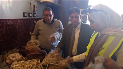 خلال حملة بيطرية بالأقصر.. ضبط 294 كيلو لحوم ودواجن فاسدة وتحرير محضرين 