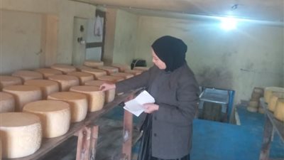 ضبط 3 أطنان جبن رومي وملح ومكرونة مجهولة المصدر في الدقهلية 