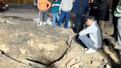 محافظ الجيزة