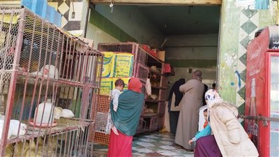 محلات بيع الطيور