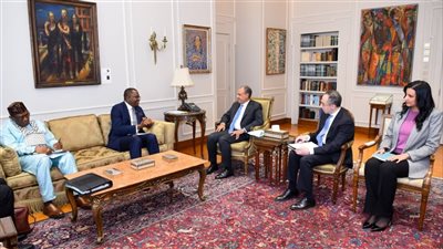 الخارجية: إصلاح مجلس الأمن ضرورة لتصحيح الظلم التاريخي ضد إفريقيا