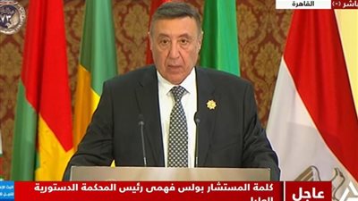 رئيس المحكمة الدستورية العليا: القضاة غير قابلين للعزل ولا يجوز فصلهم إلا تأديبيًا