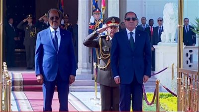 السيسي: مصر ماضية في استكمال نشر قواتها ضمن بعثة الاتحاد الإفريقي للدعم والاستقرار بالصومال