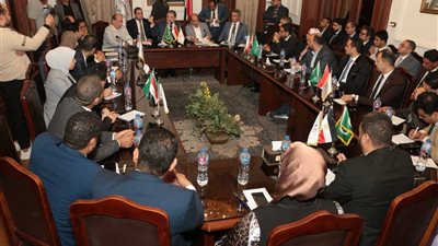 بعد تعيين نفسه رئيسًا لـ«برلمانية الحزب» بالشيوخ.. مصادر: البدوي يعيد قرار يمامة للتصويت بعليا الوفد اليوم