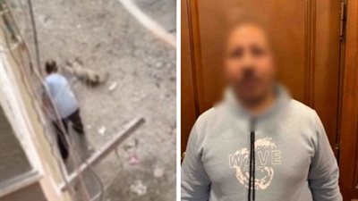 القبض على متهم بالتعدي على كلب بعصا حتى الموت في القاهرة