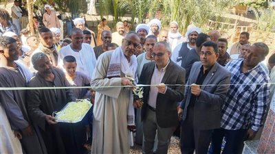 بتكلفة 2 مليون جنيه.. افتتاح مسجد الإمام علي بقرية المنصورية الوسطى في أسوان