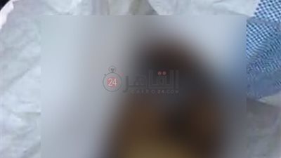 جهات التحقيق تعاين موقع العثور على 5 أجنة داخل صندوق قمامة بالمنيا