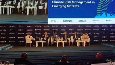 محمد الإتربي: إفريقيا تحتاج تمويلًا داخليًا ودوليًا لمواجهة التغيرات المناخية