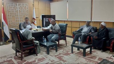 مهلة لتوفيق الأوضاع.. بدء إعادة توصيل التيار الكهربائي للمشروعات الزراعية في مركز بلاط بالوادي الجديد