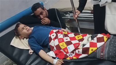تحت الملاحظة.. صغير يتعرض للعقر من كلاب ضالة أمام منزله بدمنهور