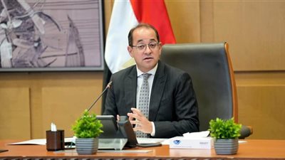 وزير المالية: زيادة سعر توريد القمح المحلي تكلف 4.5 مليار جنيه إضافية