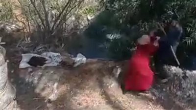 إخلاء سبيل طرفي مشاجرة إلقاء سيدة في مياه ترعة بالبحيرة بكفالة مالية