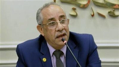 براءة البرلماني السابق طلعت خليل وشقيقته وأحد مندوبيه من تهمة اقتحام لجنة انتخابية