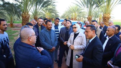 محافظ الوادي الجديد تتفقد مزرعة نخيل وإنتاج حيواني على مساحة 228 فدانًا ببلاط