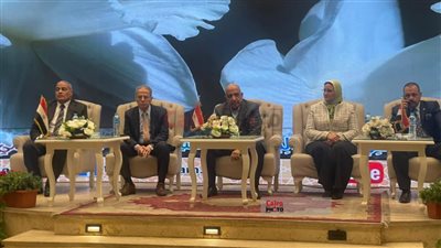 وزير الكهرباء: أوضاع الشبكة الكهربائية في مصر مطمئنة رغم توقف إمدادات الغاز القادمة من الشرق الأوسط