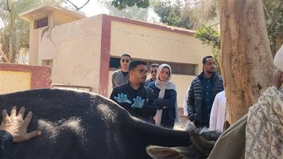 تقديم خدمات بيطرية شاملة لـ 314 حالة من الماشية والدواب بأسيوط