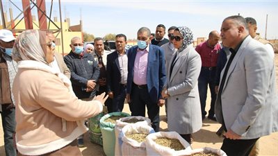 بمتوسط إنتاج 15 طنا يوميًا.. محافظ الوادي الجديد تتفقد أحد مشروعات تدوير المخلفات الزراعية