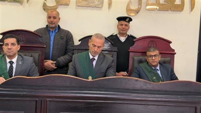 جنايات دمنهور تودع أسباب حكمها في قضية تعدي سائق توك توك على صغيرة بأرض زراعية