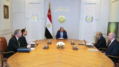 متحدث الرئاسة: إدخال 2500 ميجاوات من الطاقات المتجددة على الشبكة الكهربائية قبل الصيف المقبل