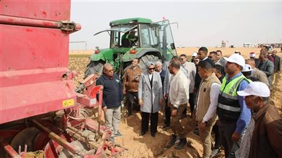 محافظ الوادي الجديد تتفقد مشروعًا زراعيًا لإنتاج البطاطس والقمح والنباتات العطرية