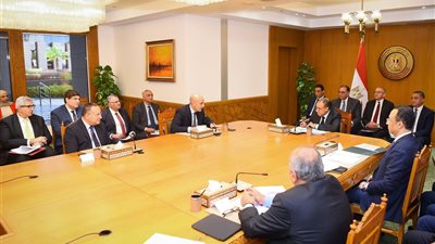 وزيرا الخارجية والتعليم يبحثان تعزيز التواصل مع المصريين بالخارج وتطوير الخدمات المقدمة لهم