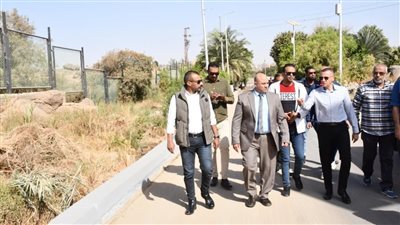 محافظ أسوان يتابع ميدانيًا جهود تنفيذ مشروع تطوير مداخل ومخارج معبد فيلة والمرسى السياحي