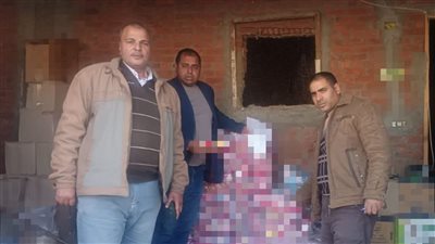 ضبط نصف طن رنجة مجهولة المصدر خلال حملات تموينية بالبحيرة