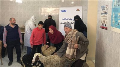 تسليم 45 رأسًا من الأغنام إلى 15 أسرة جديدة بأسيوط