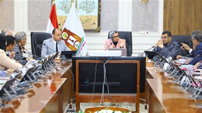 محافظ الوادي الجديد: سحب المشروعات الزراعية التي تقل نسب تنفيذها عن 50٪