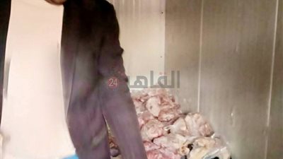 ضبط نصف طن فراخ فاسدة و2400 قطعة مواد منتهية الصلاحية في مطروح